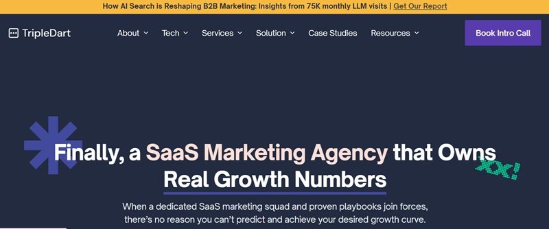B2B SaaS SEO Agency