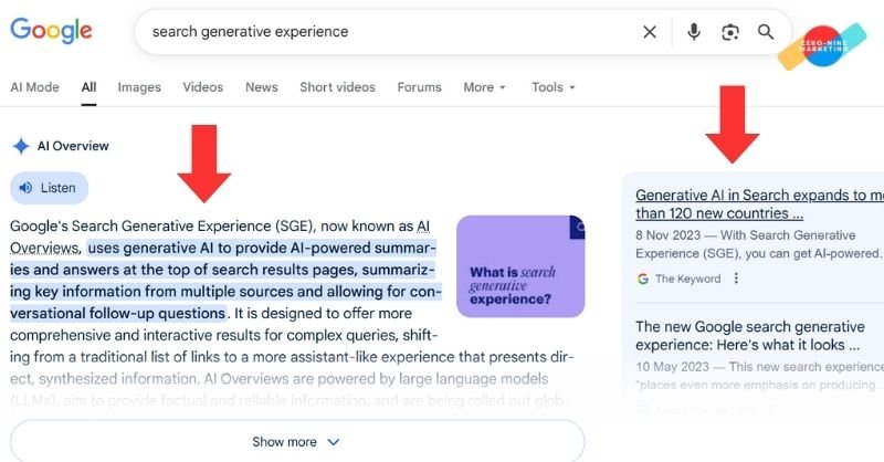 Google Search Generative Experience (SGE)
